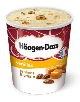 Häagen-Dazs Eiscreme Pralines & Cream