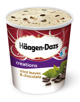 Häagen-Dazs Eiscreme Mint Leaves Chocolate